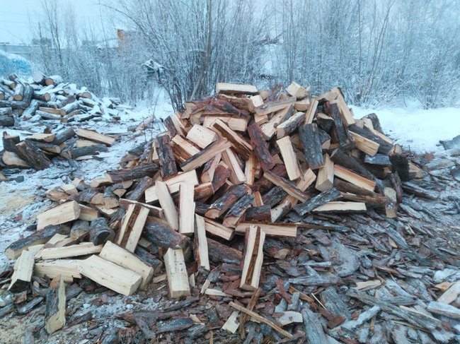 Продам дрова - Петропавловск, Северо-Казахстанская обл.