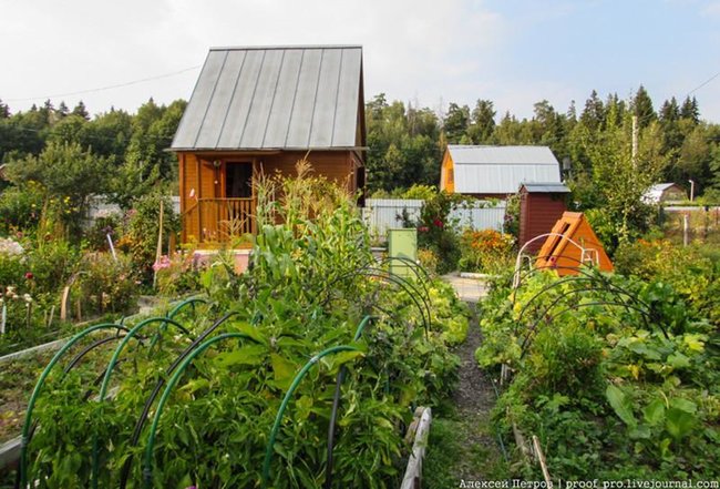 Дачу по Мамлютской трассе - Петропавловск, Северо-Казахстанская обл.