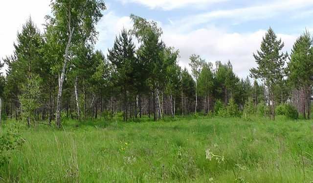 Земельный участок под ИЖС - Петропавловск, Северо-Казахстанская обл.